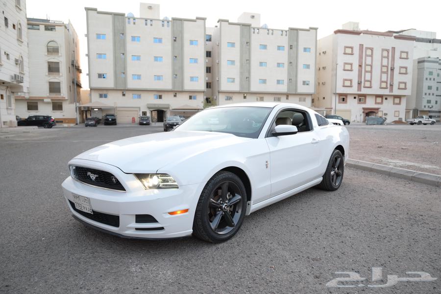 2014 Mustang V6 Agency Condition63667516711426111
