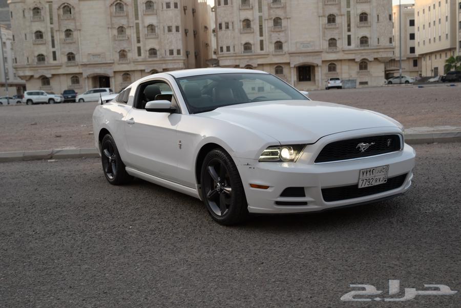 2014 Mustang V6 Agency Condition63667516711426114