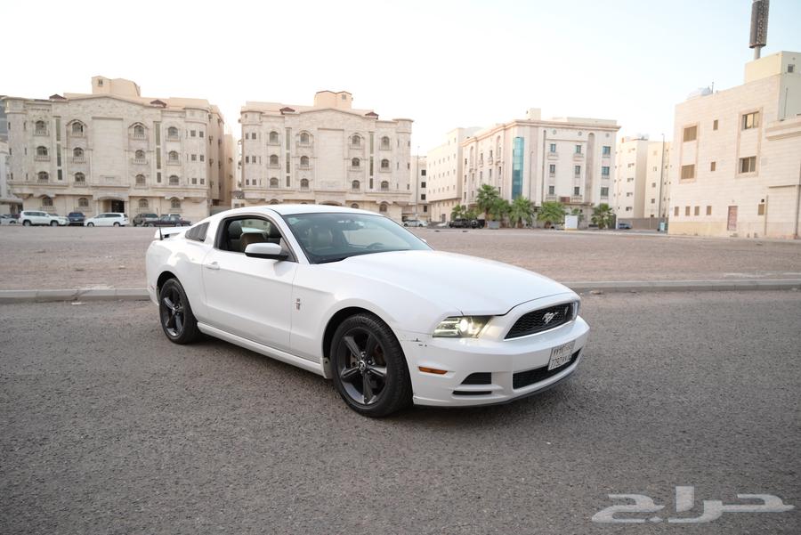 2014 Mustang V6 Agency Condition63667516711426110