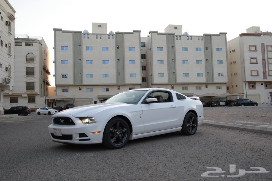 2014 Mustang V6 Agency Condition63667516711426113