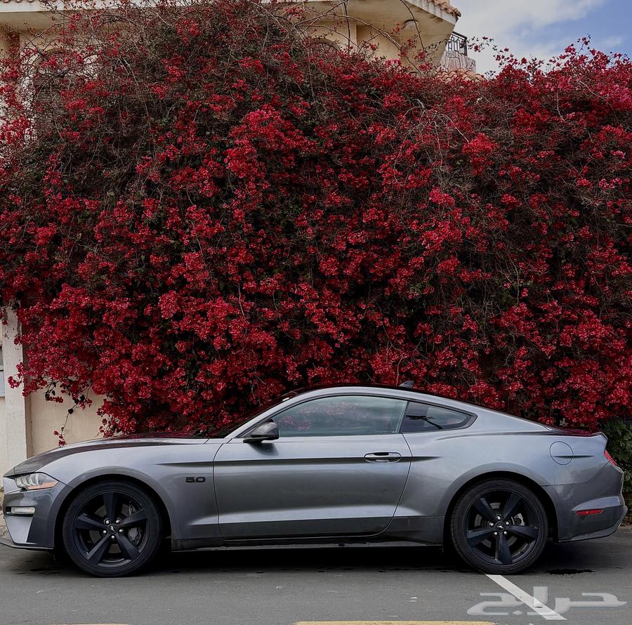 2021 Mustang Saudi 8 Cylinder Fully Loaded63670412631681110
