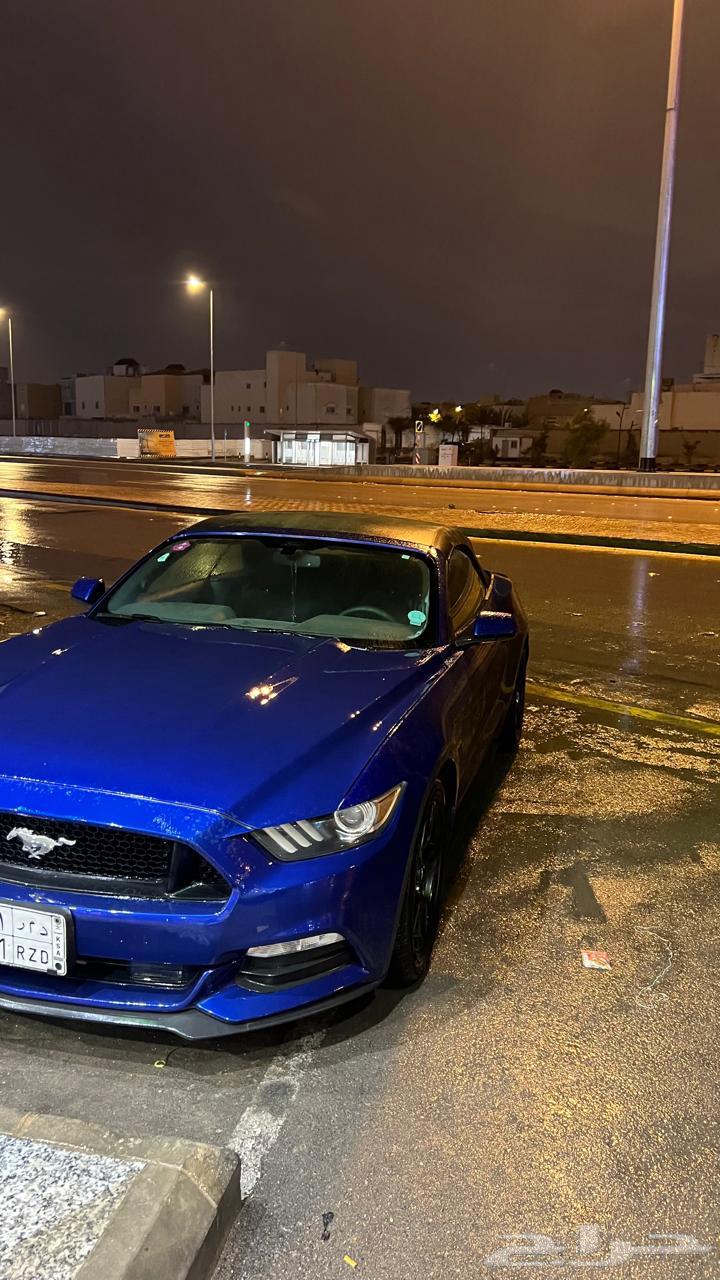 Mustang 2015 V6 inspection63667508698883111