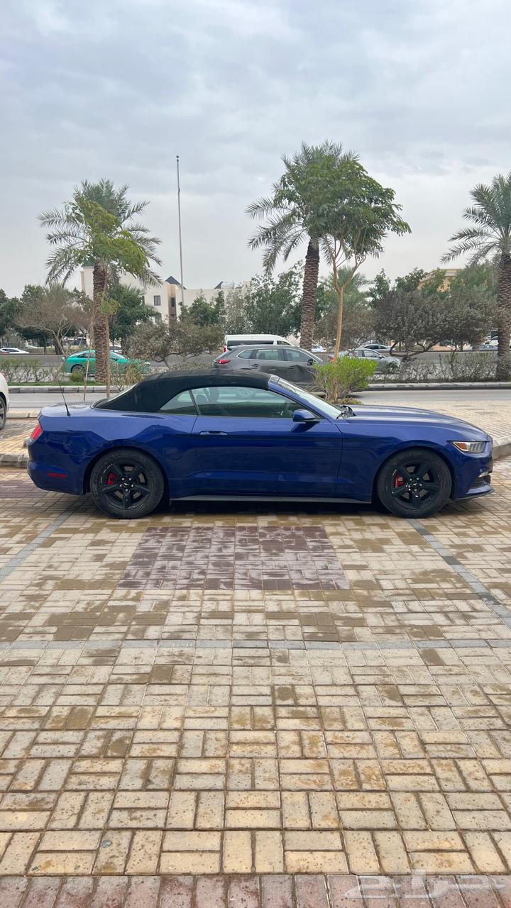 Mustang 2015 V6 inspection63667508698883113