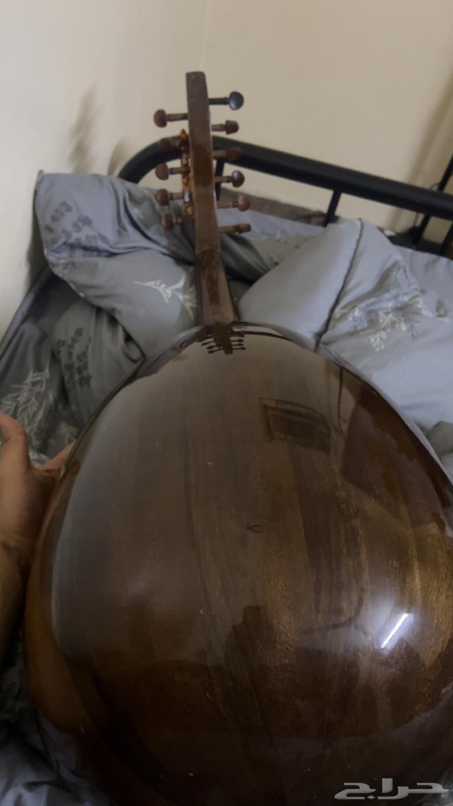 عود زرياب موديل 163655610403841110