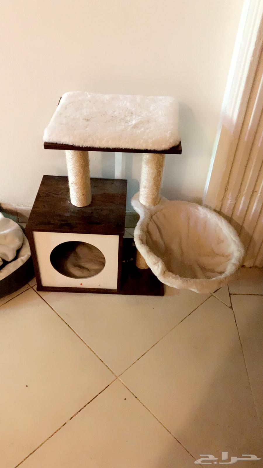مستلزمات قطط63655415595009110