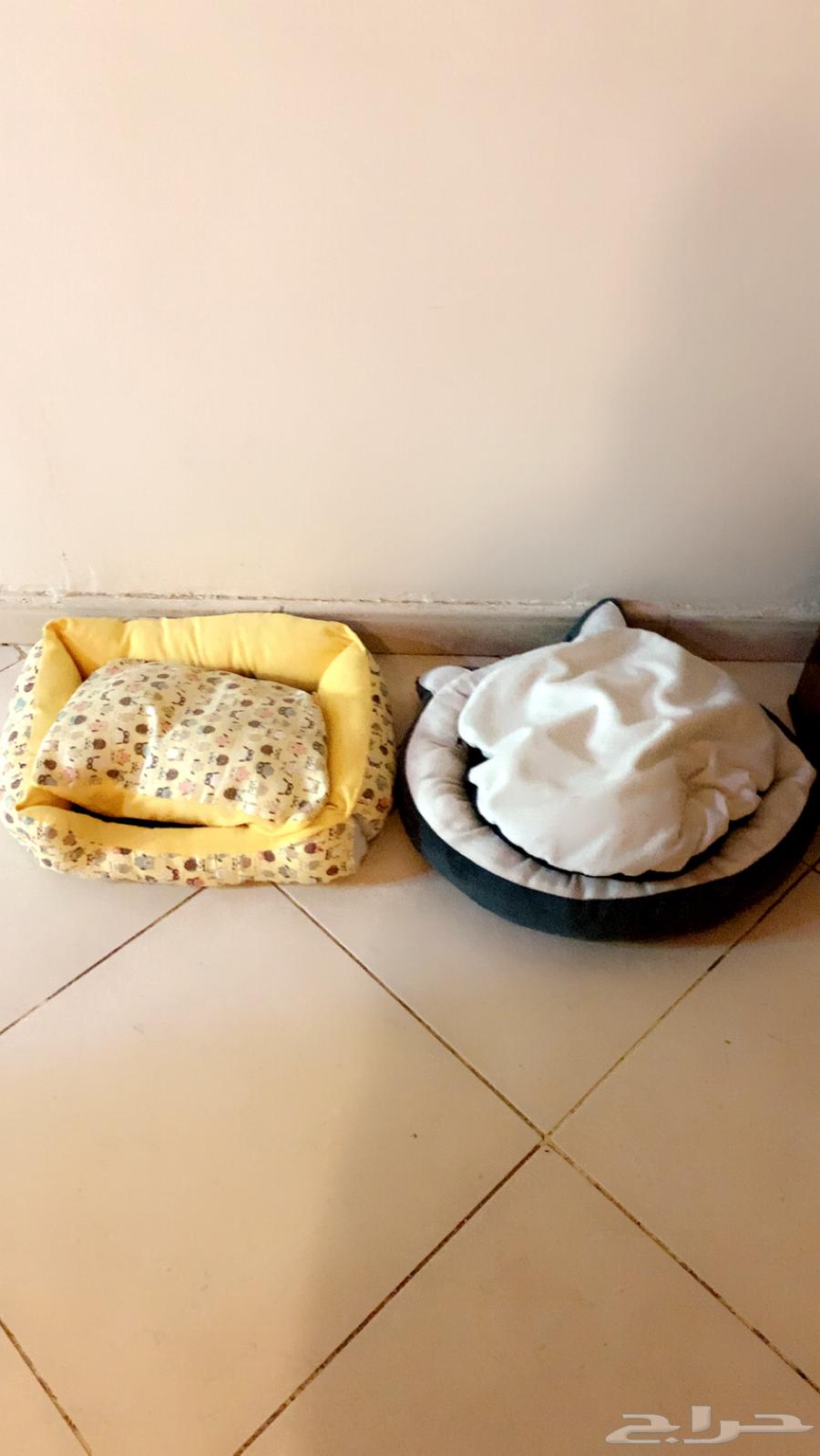 مستلزمات قطط63655415595009111