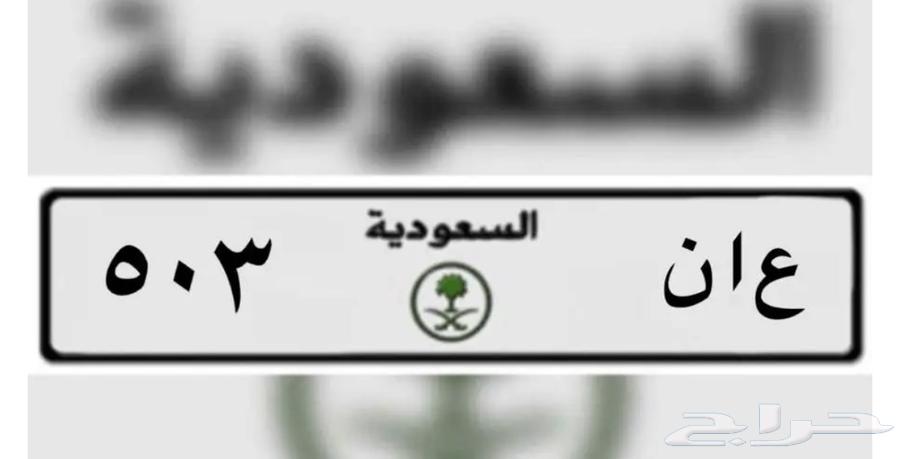 مطلوب لوحة63676175046274110