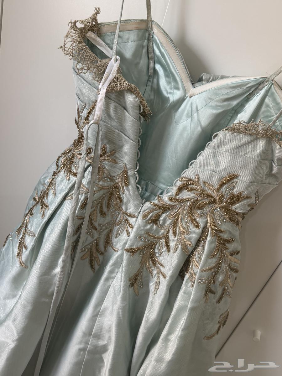 Luxury Evening Dress - Queen or Evening Gowns63655515238145113