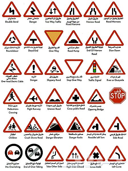 Driving License (Manual and Automatic) Training with an Expert Instructor - Riyadh63655511491713110