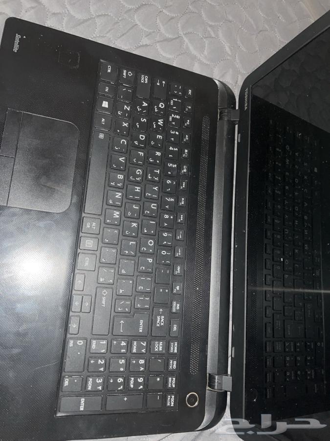Toshlba Laptop63655419971458112