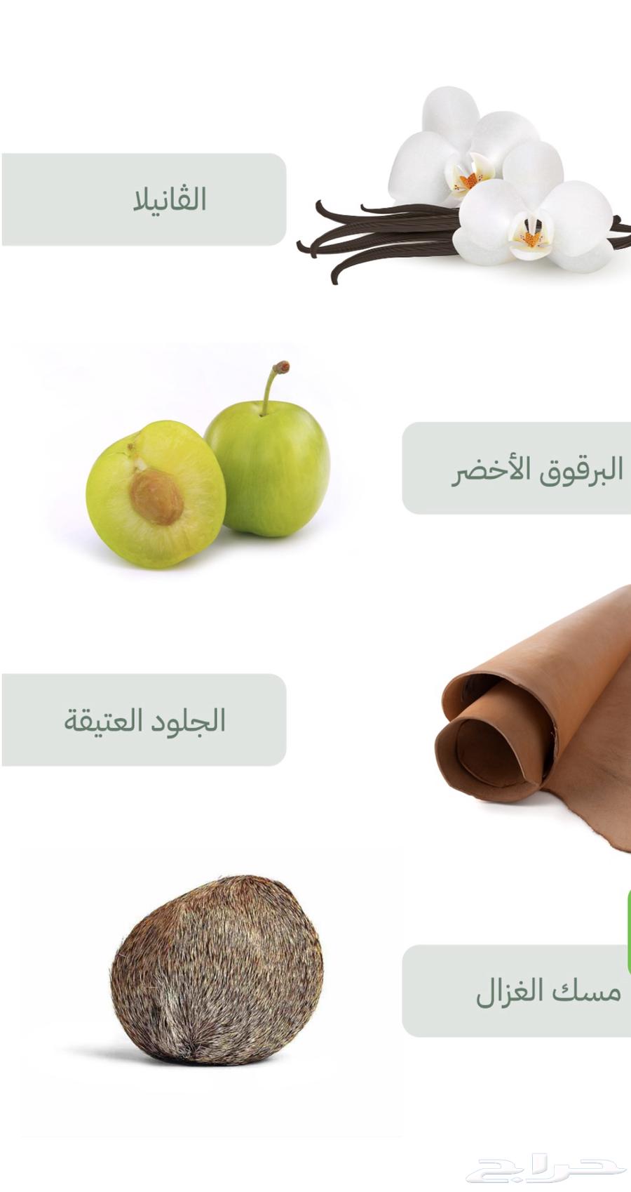 للبيع عطر جرينتش باريس63655523006850112
