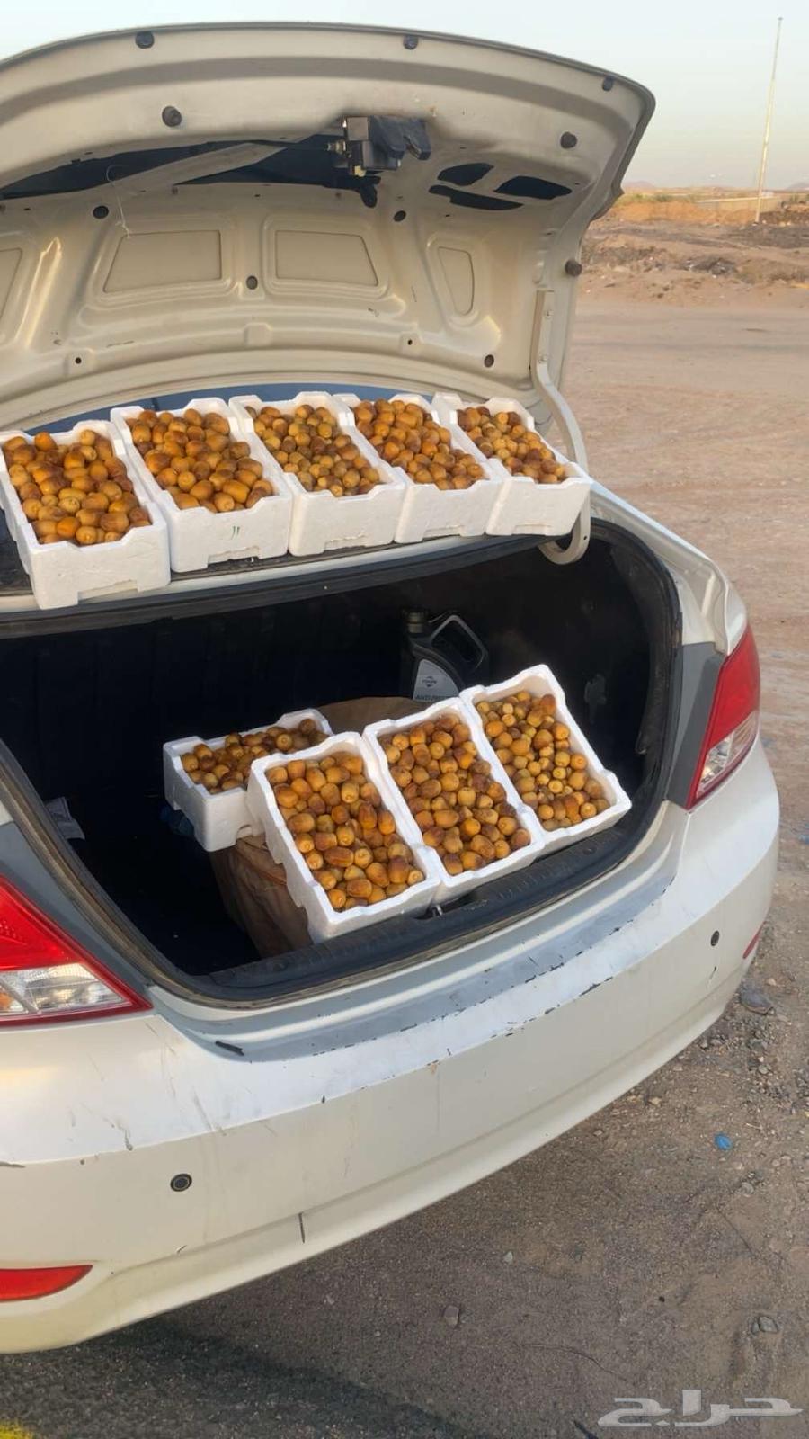 تمر روثانا للبيع63656134053250110