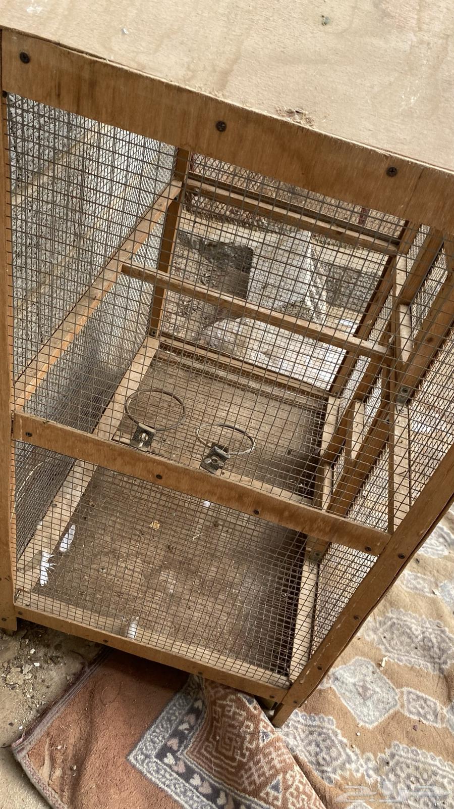 Very clean bird net with no breaks, very clean63655714670978112