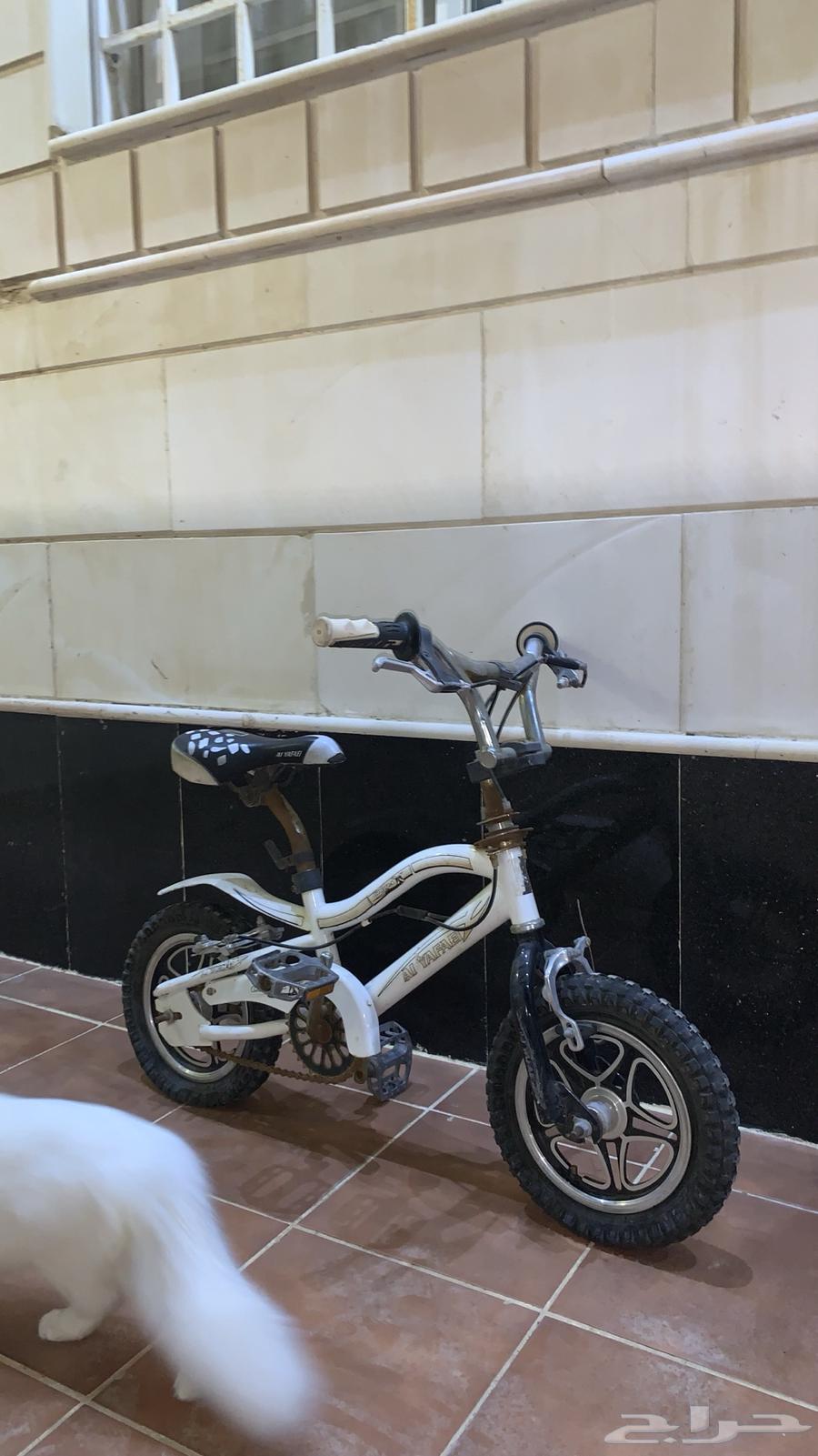 Cobra motorcycle for sale63657497546883110