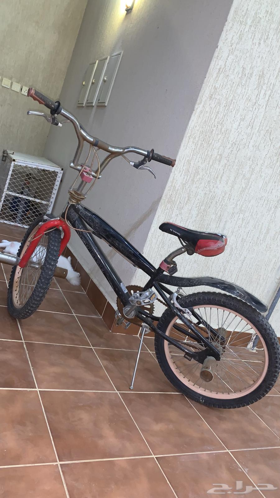 Cobra motorcycle for sale63657497546883111