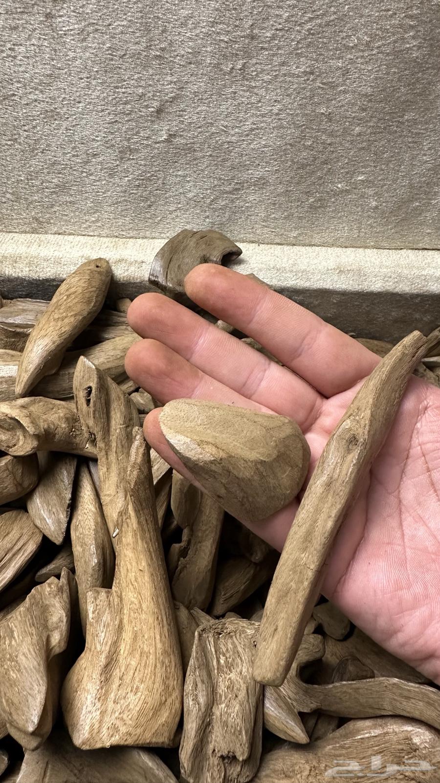 مروكي آصقون سوبر63655708136579111