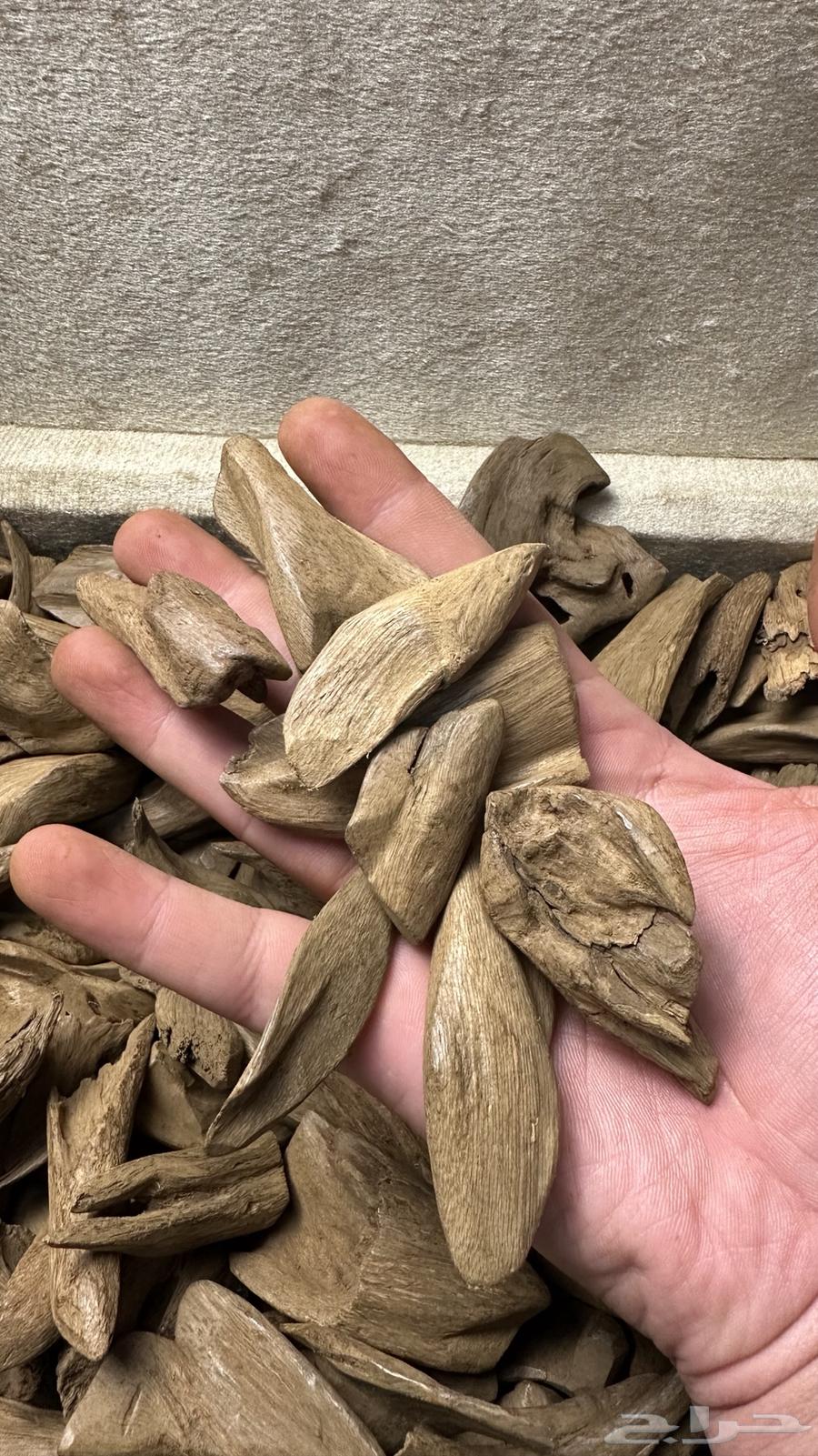 مروكي آصقون سوبر63655708136579114