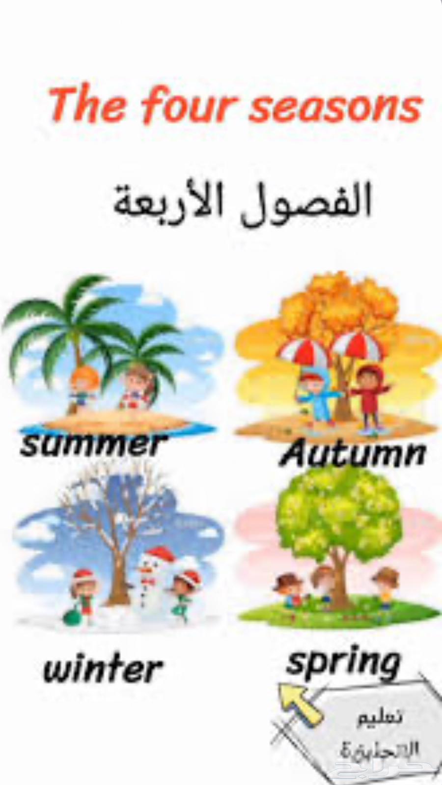Educational Cards and Stickers63667535188353110