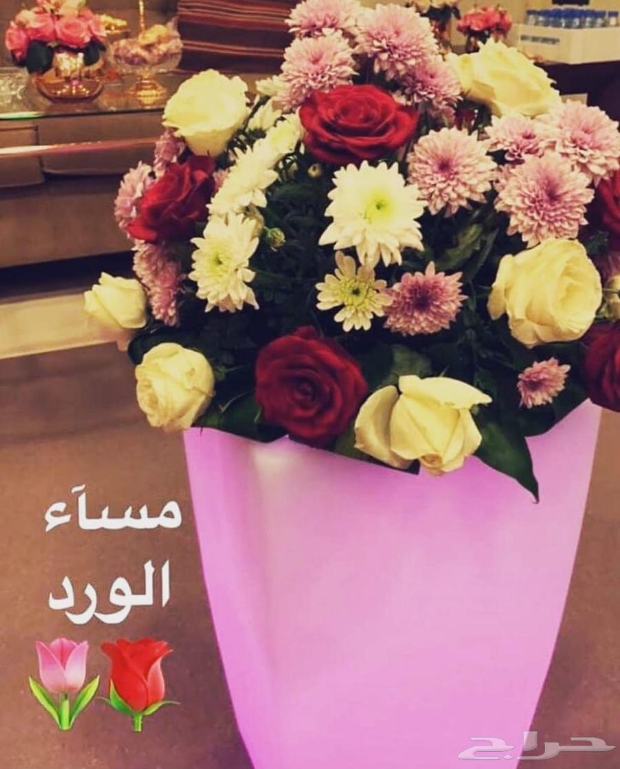 قوالب مضيئة63657593156994110