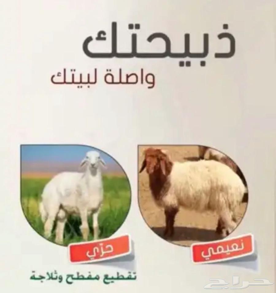 ذبايح نعيم للبيع63655711266689110
