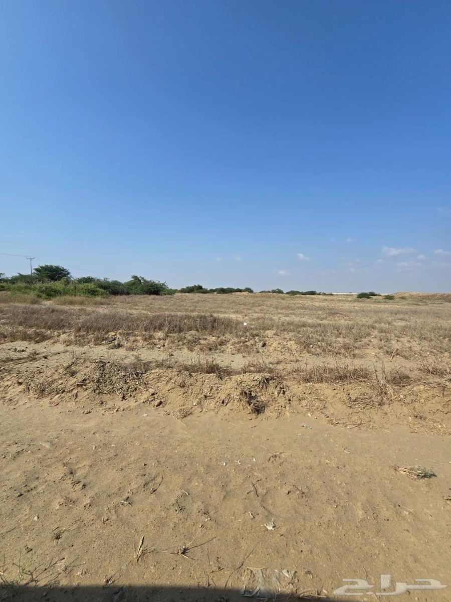 ارض للبيع