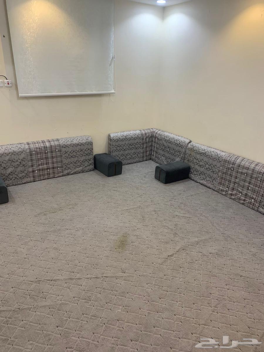 Sofa63667539134851111