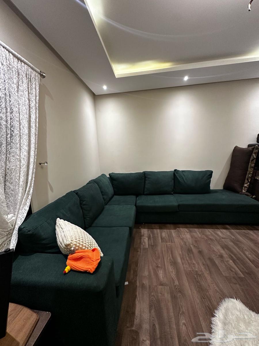كنب63657501464321110