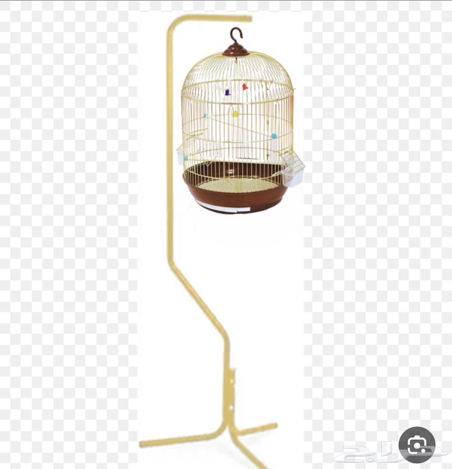 Birds of the Day63667535716227112