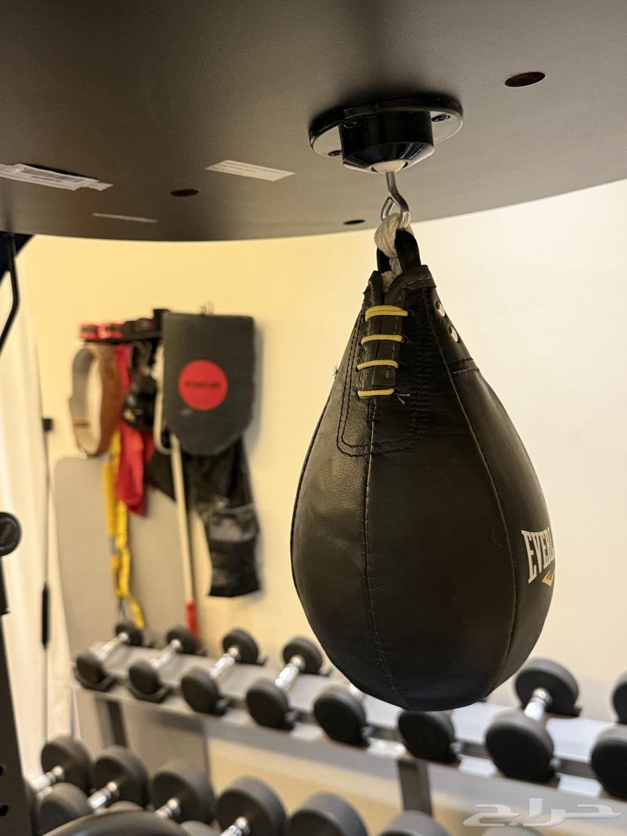 استاند ملاكمة everlast heavy bag speed bag stand63655702307331112