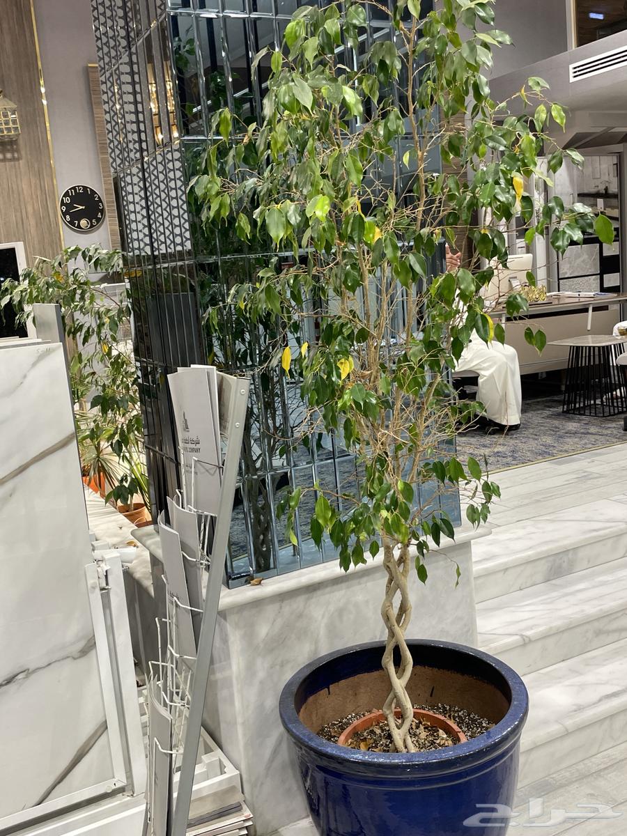 اثاث مستخدم63657497605123110