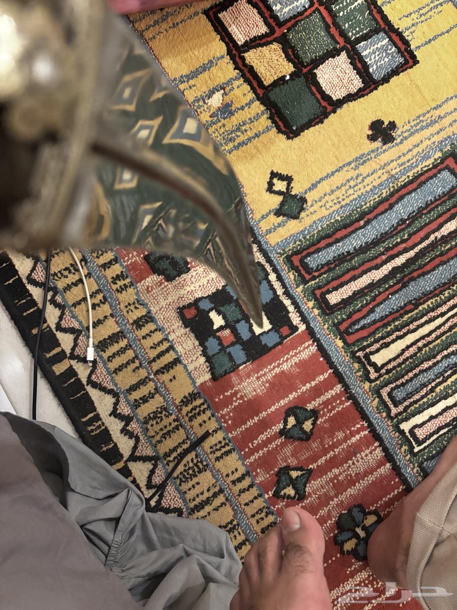 جنبية وترر قرن دس63656209855617114