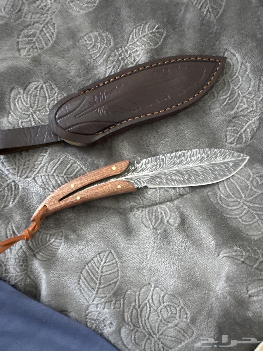 Sakina Al-Risha, American-made, anti-echo, very sharp, and high price63699885955970112