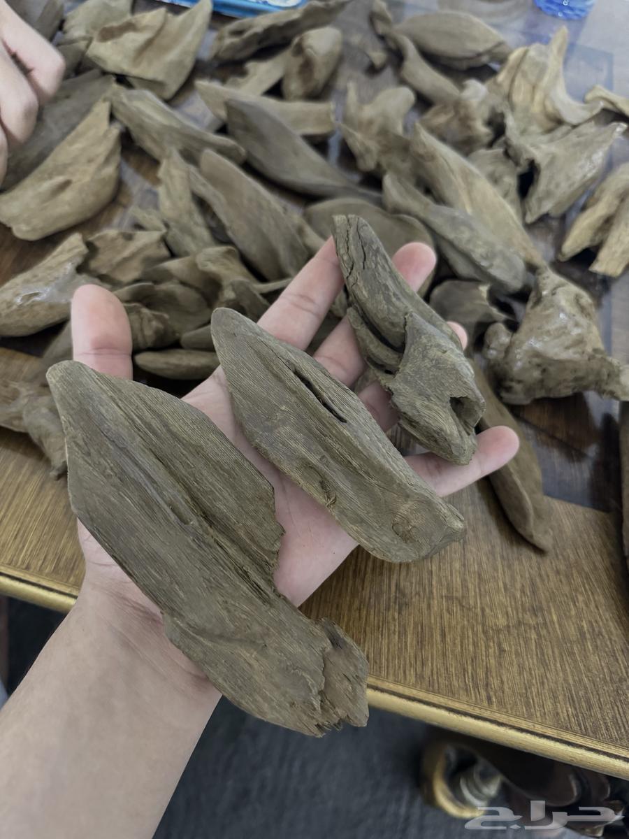 Moroccan Agarwood Double Super High Natural Asqoun63656451715970111