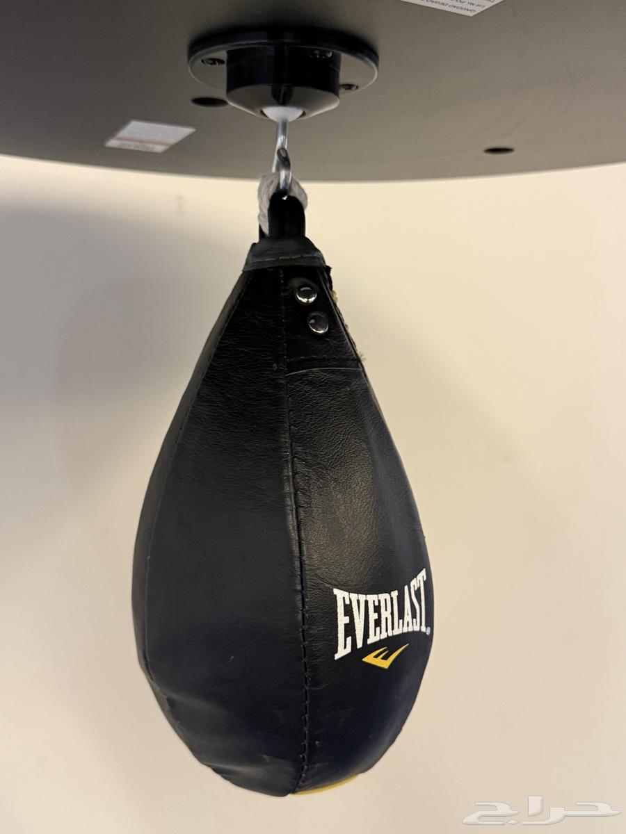 استاند ملاكمة everlast heavy bag speed bag stand63655702307331113