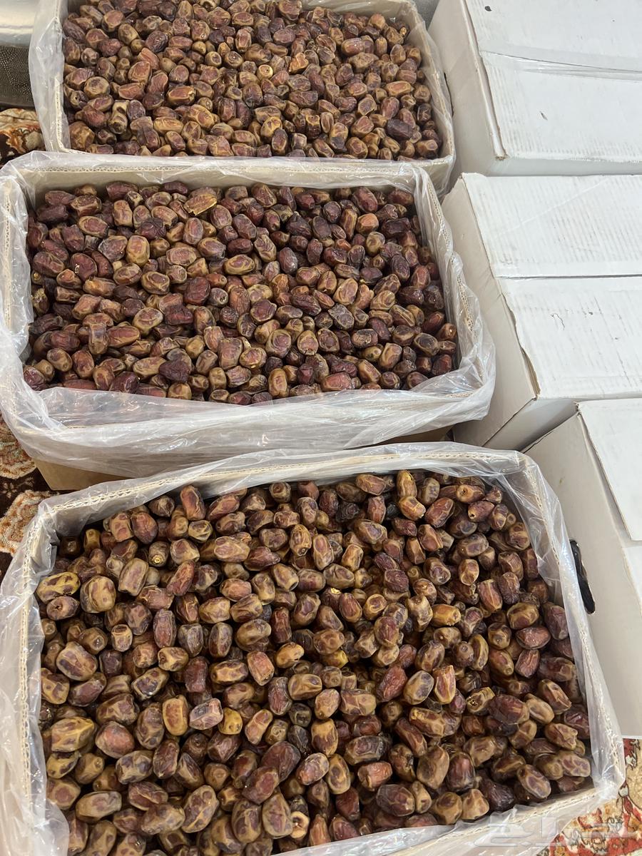 Rabee'a dates63655708247681112