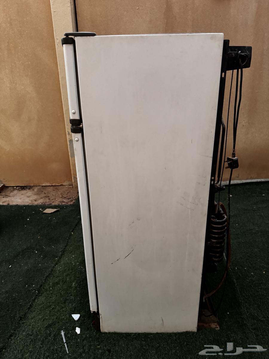 Clean Italian Alpha Brand Gas Refrigerator (Riyadh)63656295388162111