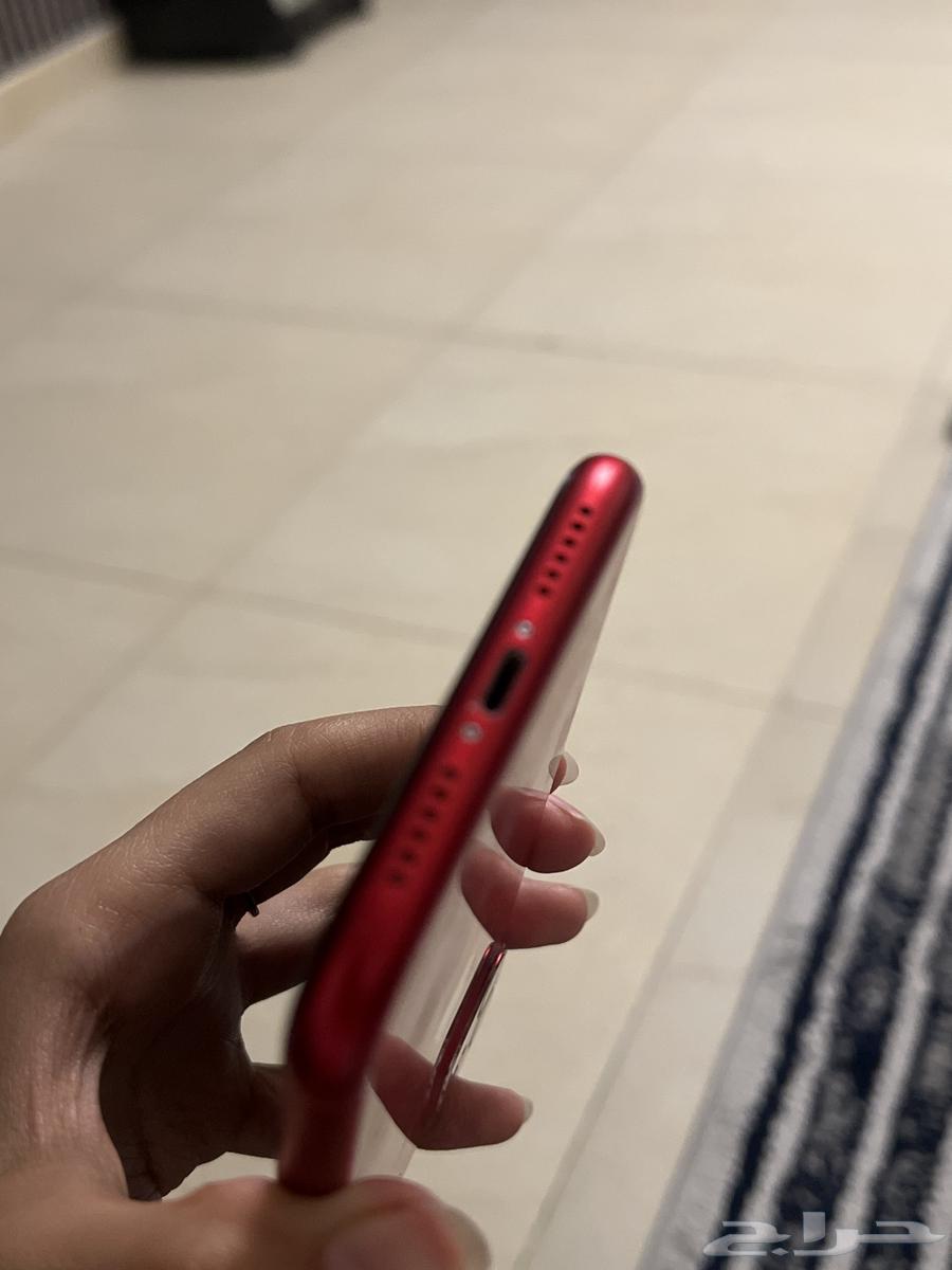 iPhone 11 - 64GB63656213371266114