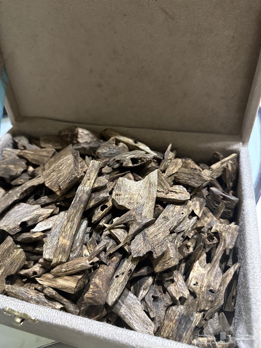 Chinese Kinam Oud Double Super (Free Shipping)63656295361666111