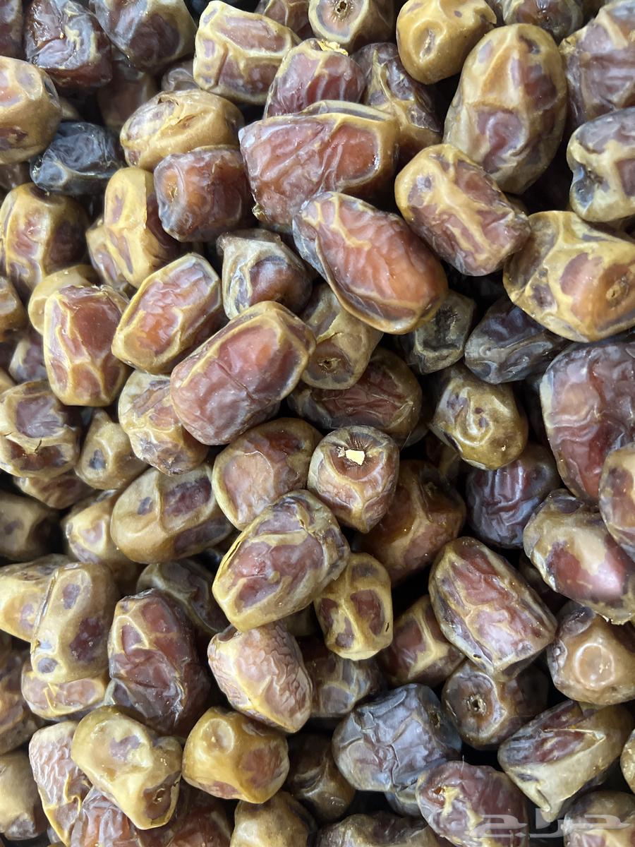 Rabee'a dates63655708247681110