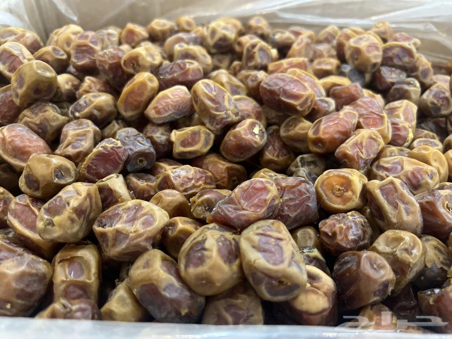 Rabee'a dates63655708247681111