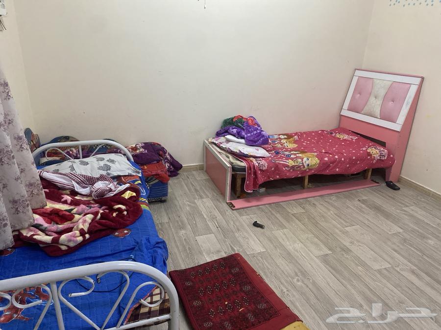 فرن إيطالي   غسالة هام   3 سرير أطفال   دراجة كهربائية اطفا63657243689603112