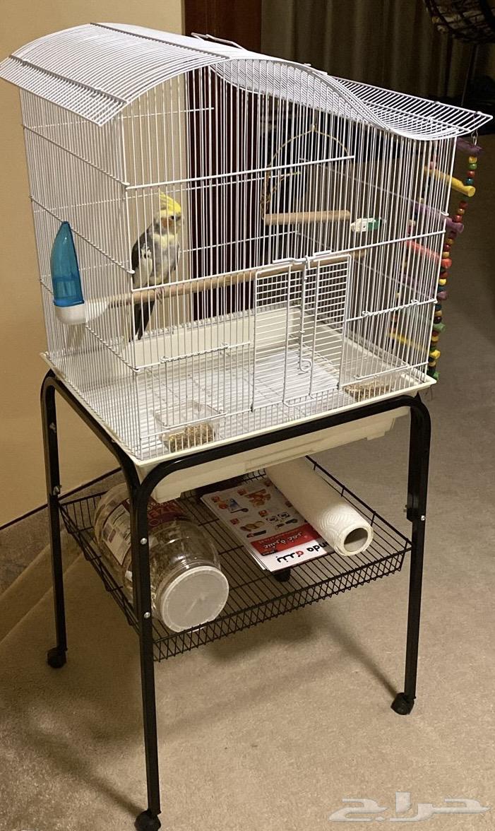 Large cage for sale63656700105858110