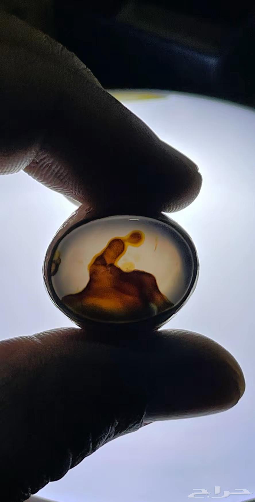 Engraved Ring63655701464449110