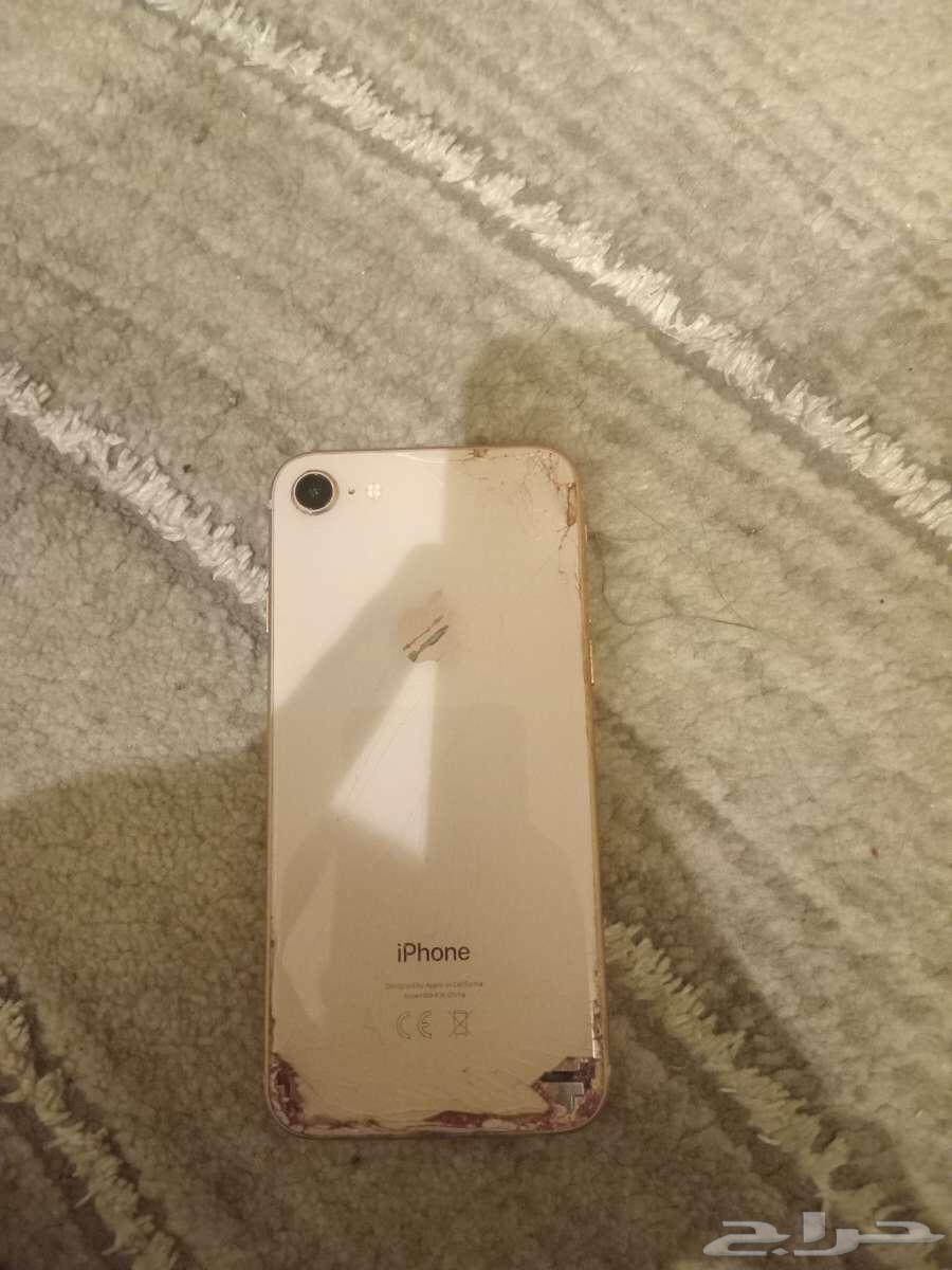انباع63657149883265111