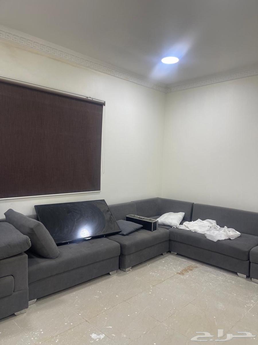 Sofa63667537485569111