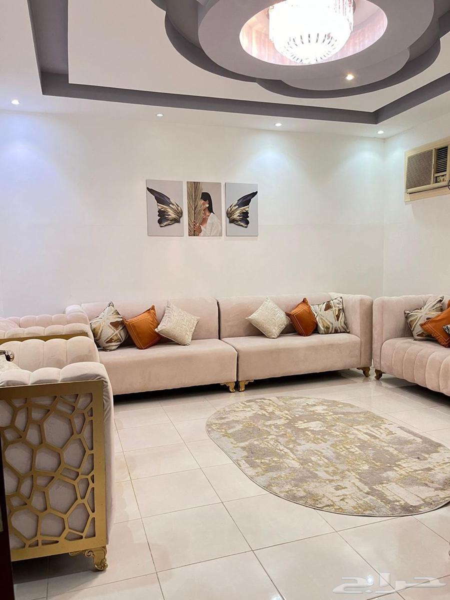 New sofa at a special price63657501479553110