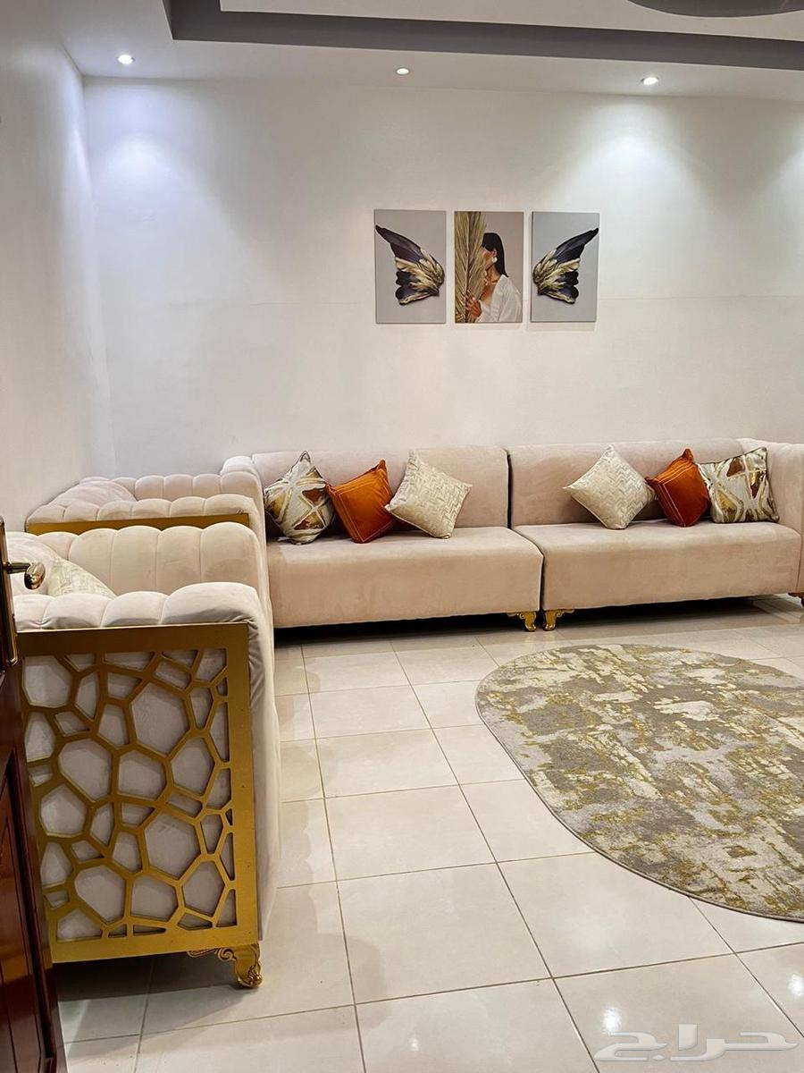 New sofa at a special price63657501479553111