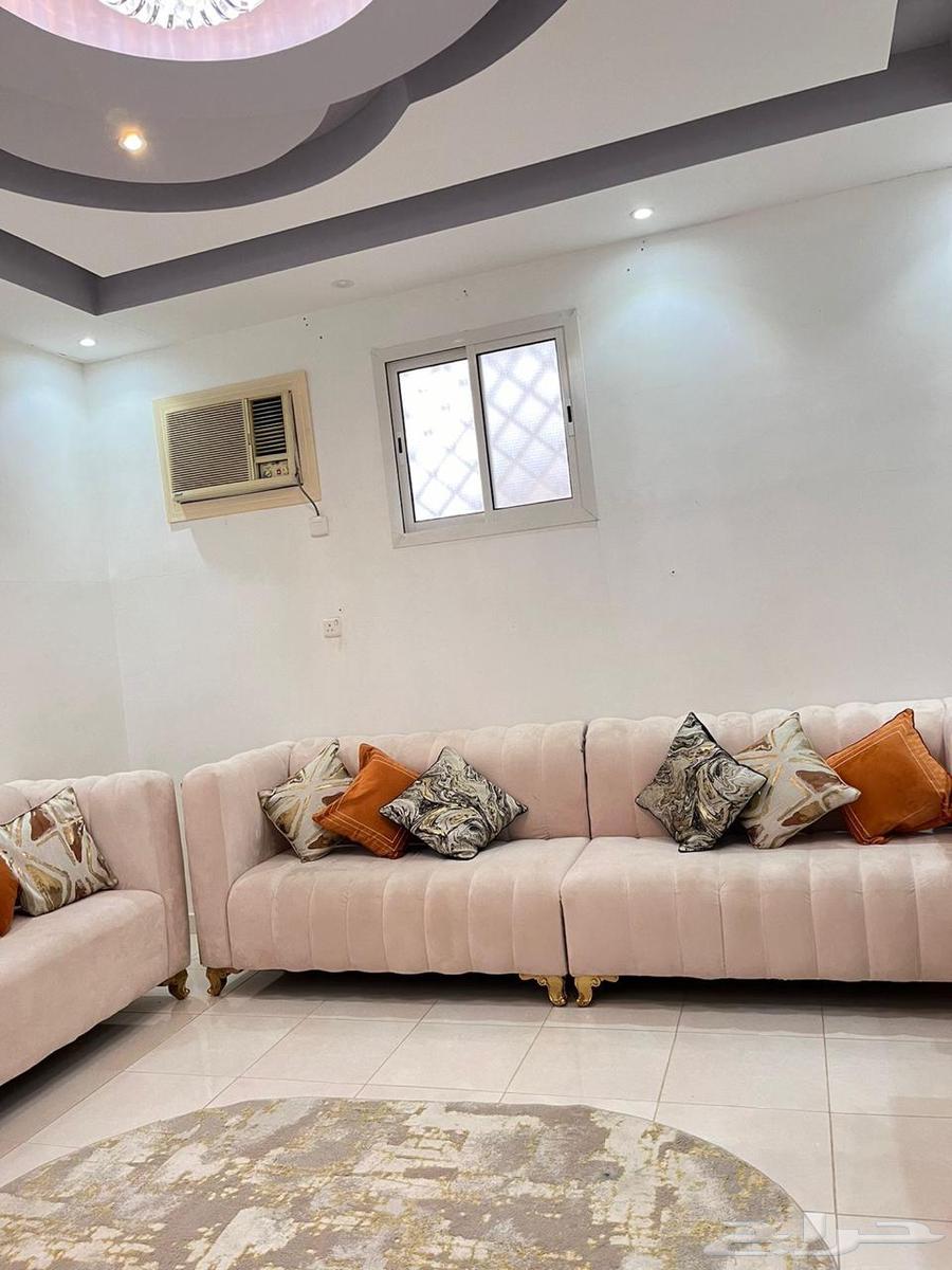 New sofa at a special price63657501479553112