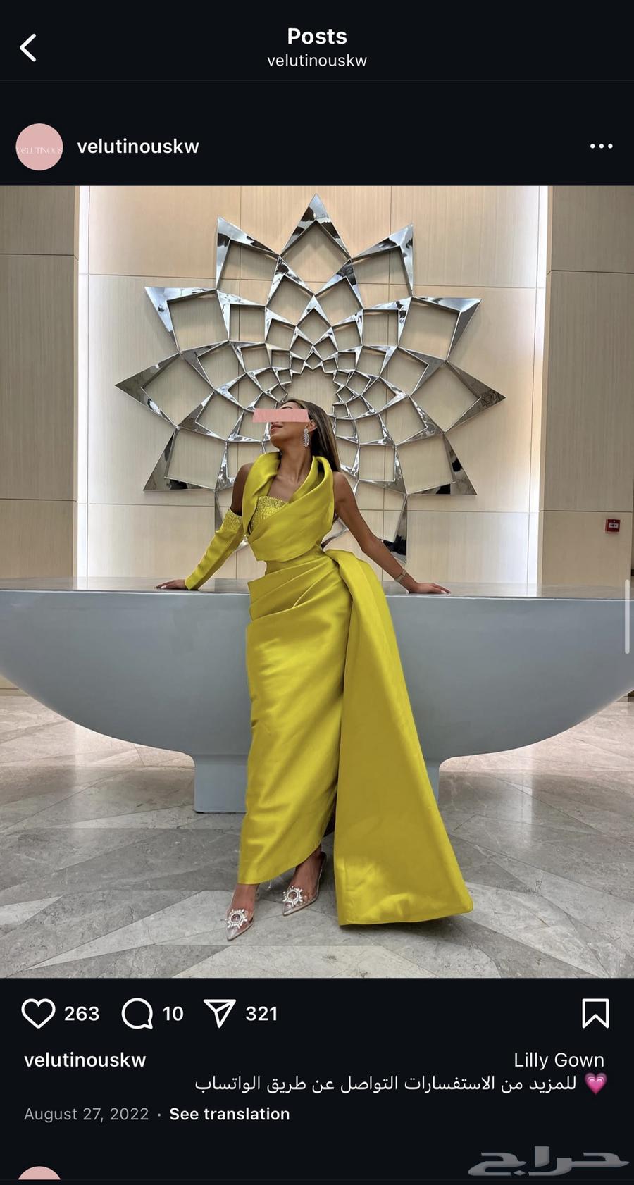 Luxurious dress63656970418690110