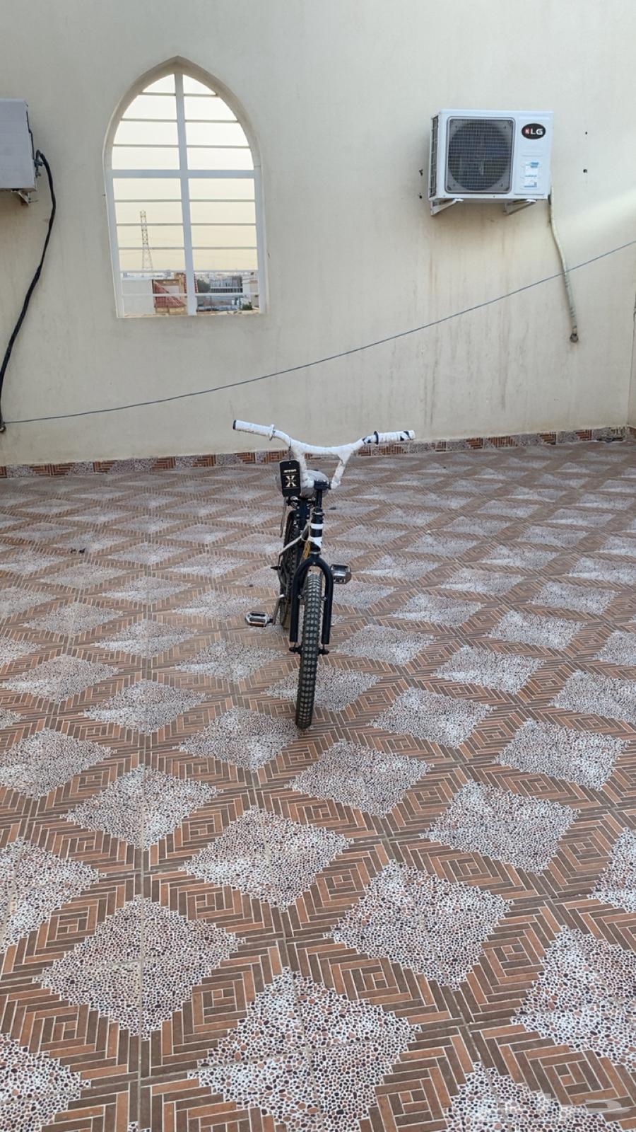 Cobra 20-inch bicycle for sale63667680689281111